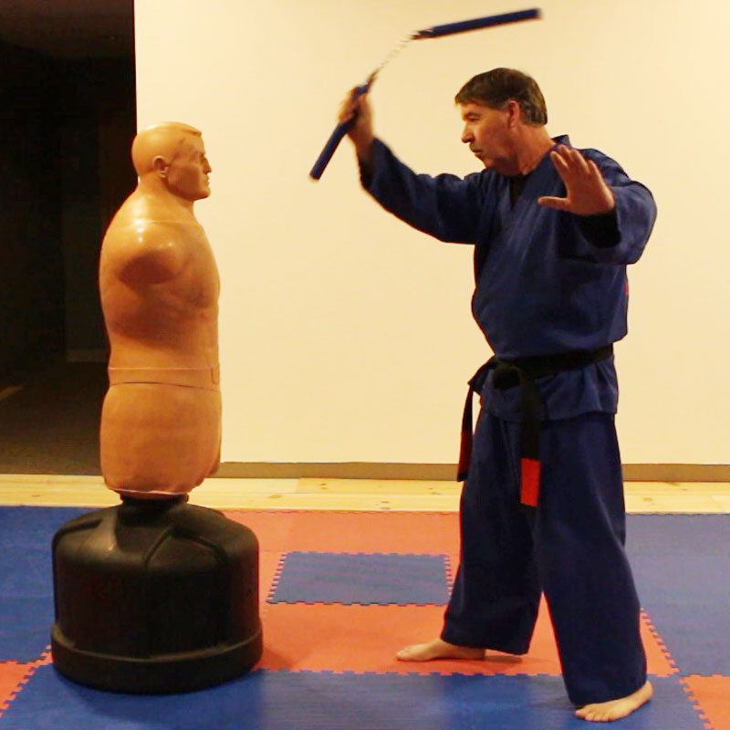 David Hamlet Instructor of Kenpo Karate In Omaha, NE