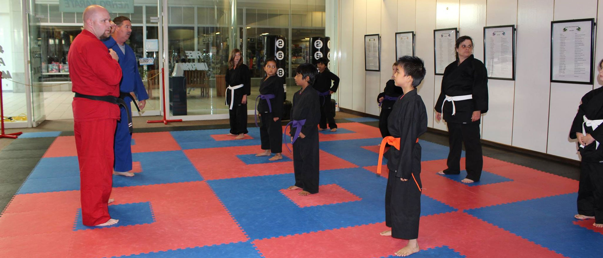 System Differences Martial Arts In Millard, Nebraska
